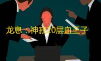 龙息：神寂20层血王子双输出光电队